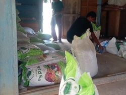 2 Gapoktan Terima Pupuk Perkebunan Gratis
